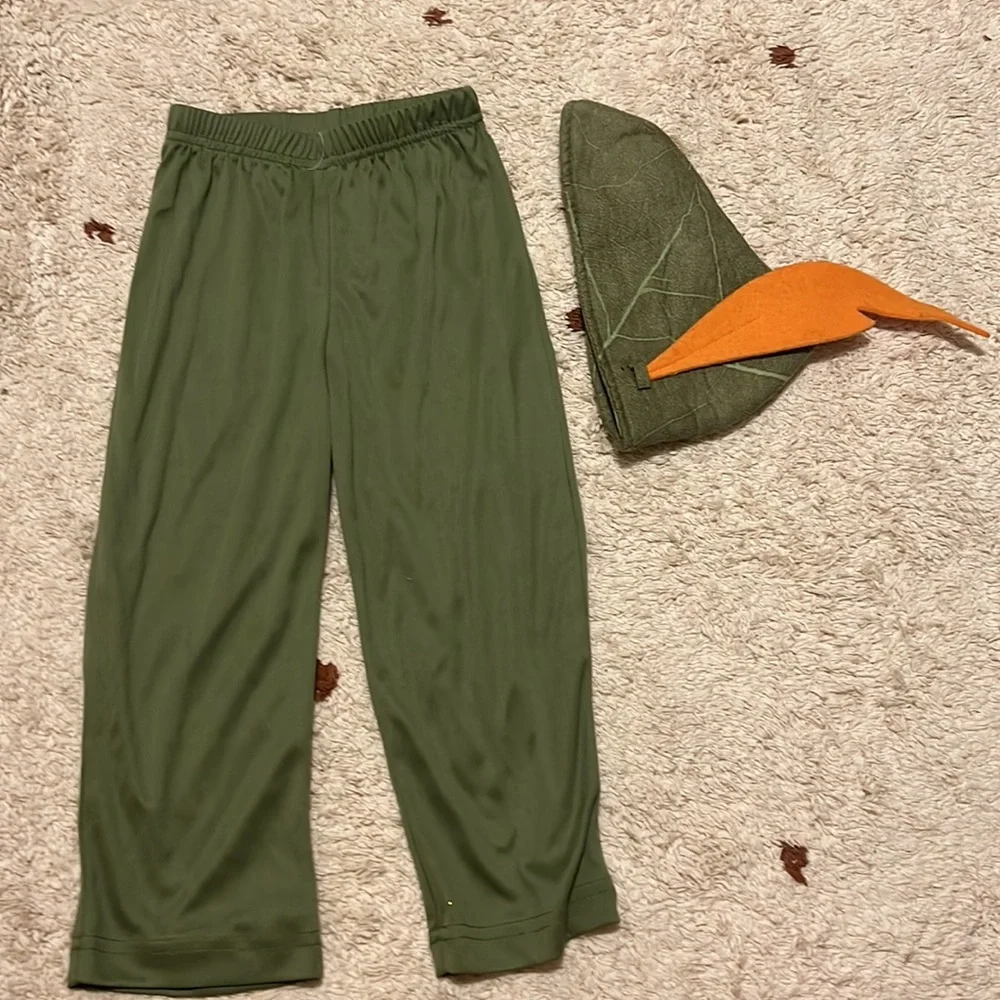 Peter Pan costume size 3T